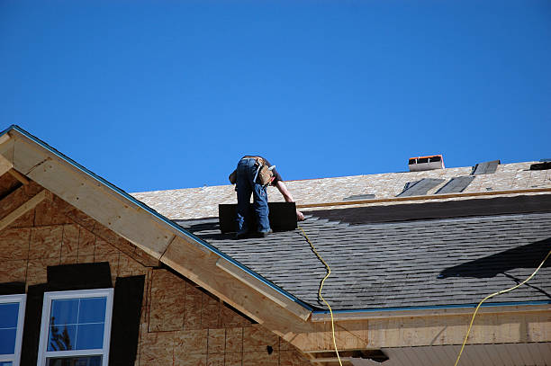 Best Shingle Roofing Installation  in Maben, MS